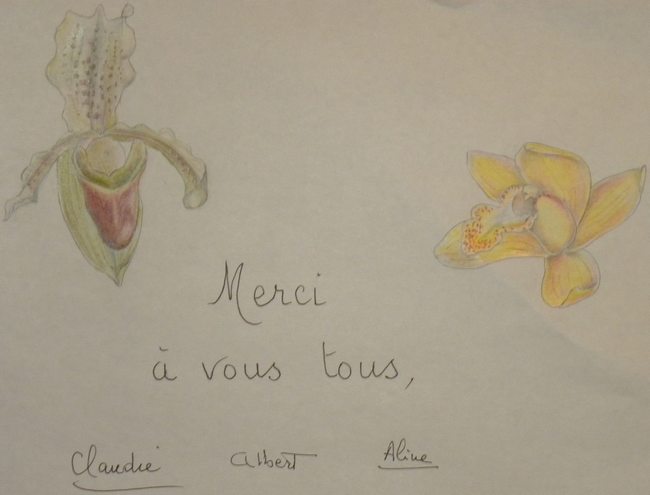 beaucoup de botanistes aiment le GR34, la pointe de primel à Plougasnou