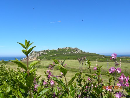 notre gite adapt� en bretagne, vous monte la pointe de Primel en �t�. petits et grands pourront faire du cerf-volant, personne en fauteuil, possible d'y acc�der.
