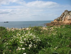 la location, gite en bretagne à plougasnou présente l'endroit d'où on vpeut voir le phare de l'île de batz par beau temps