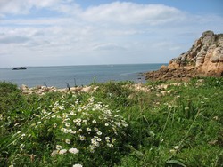 la location, gite en bretagne  plougasnou prsente l'endroit d'o on vpeut voir le phare de l'le de batz par beau temps