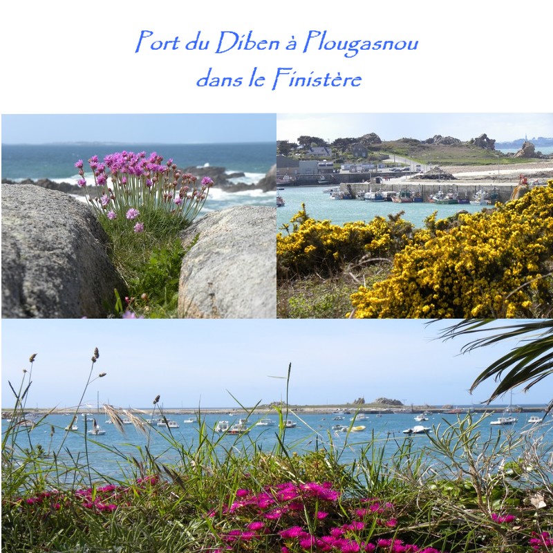 le diben au printemps, le poisson frais, les randonn�es � partir de ce gites du Finist�re