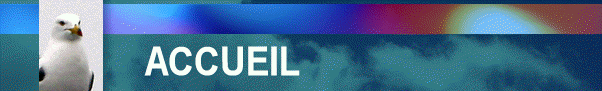 ACCUEIL