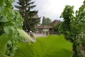 Cette proprit se situe prs de la route des vins  Hunawihr:un des plus beaux villages de France