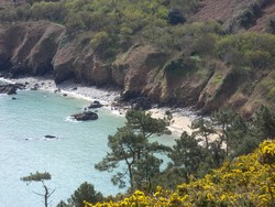 du musee vous avez un sentier qui vous conduira  la plage de beg-an-fri.ce bel endroit fait parti de Guimac:petite ville situe entre Lanmeur et Locquirec.