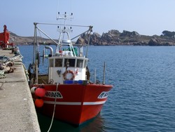 le port du Diben à 3kms du gite bretagne, notre location bretagne bord de mer à plougasnou propose des départs pour la visite du chateau du taureau à partir d' avril 2011