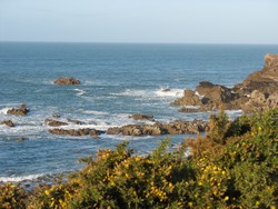 la pointe de Prime vue par le gite, location bretagnel,plat aux amateurs de botanique en particulier au printemps.la flore du littoral y est riche