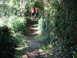 le gr34 contourne la baie de terenez.vous pourrez acheter des huîtres chez les ostréiculteurs de la baie de Morlaix