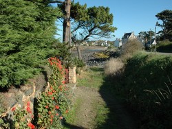 une autre vue sur Primel,avec ces graniums qui poussent gnreusement en Bretagne, proche de notre gte bretagne location bord de mer
