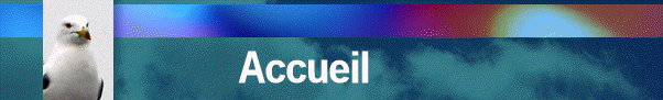                Accueil