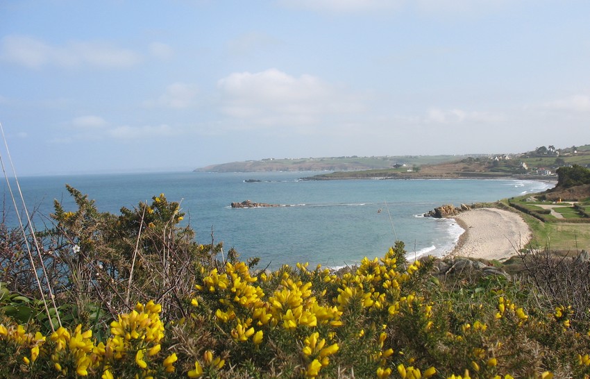  ce gites  de bretagne plus exactement dans le finistre vous prsente la pointe de primel  Plougasnou en baie de morlaix, ct grande plage de Trgastel